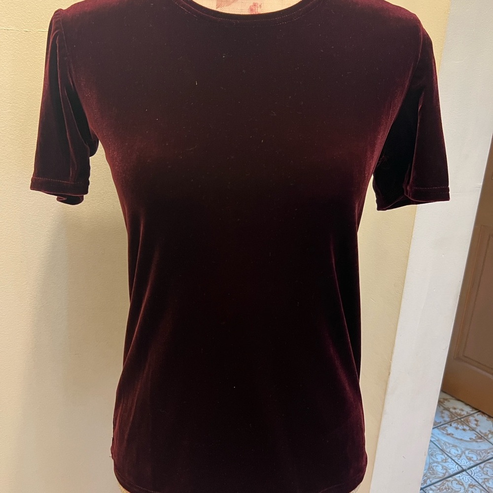 Kathy Ireland velvet top